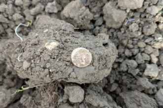 A British metal detectorist uncovered a rare Iron Age gold coin hoard in a Suffolk field, with the remarkable treasure later selling at auction for an impressive £33,200.